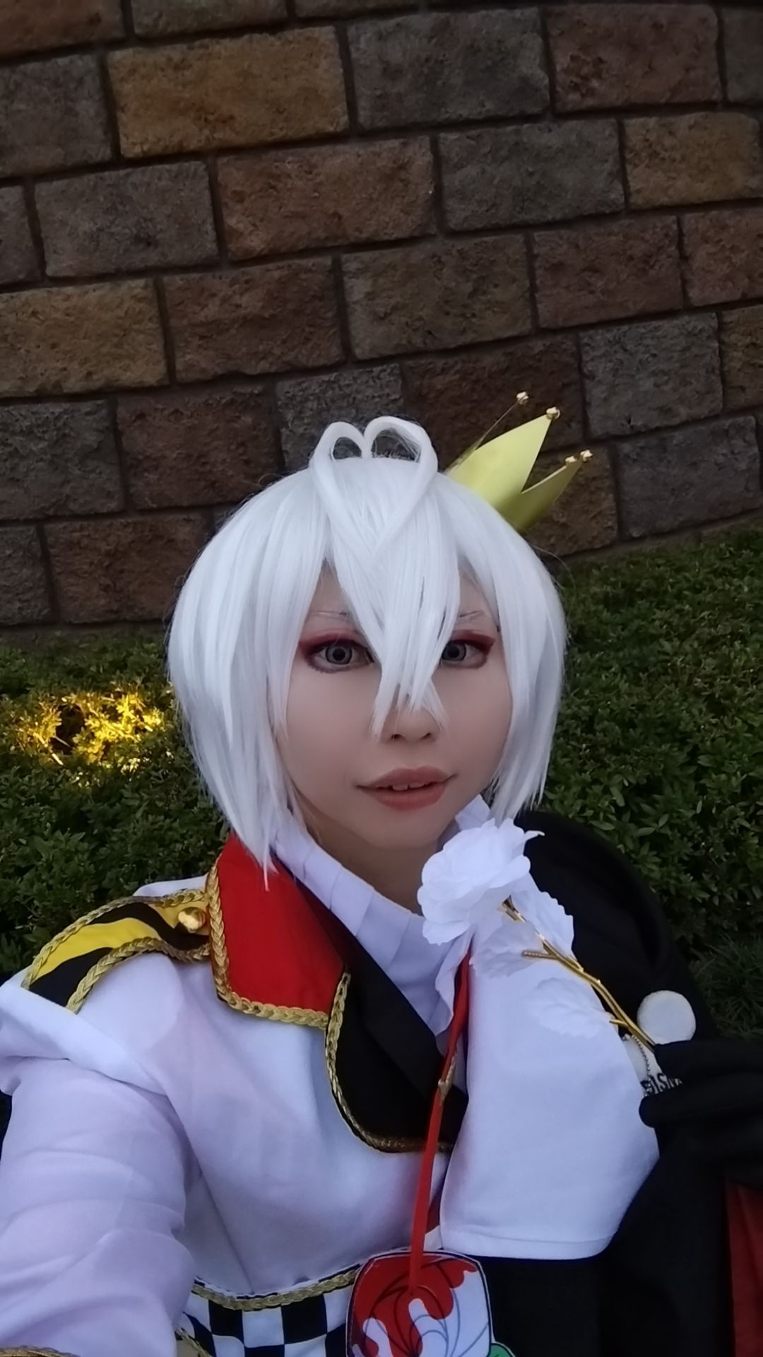 ツイステ リドル ウィッグ コスプレ Dハロ ツイステッドワンダーランド