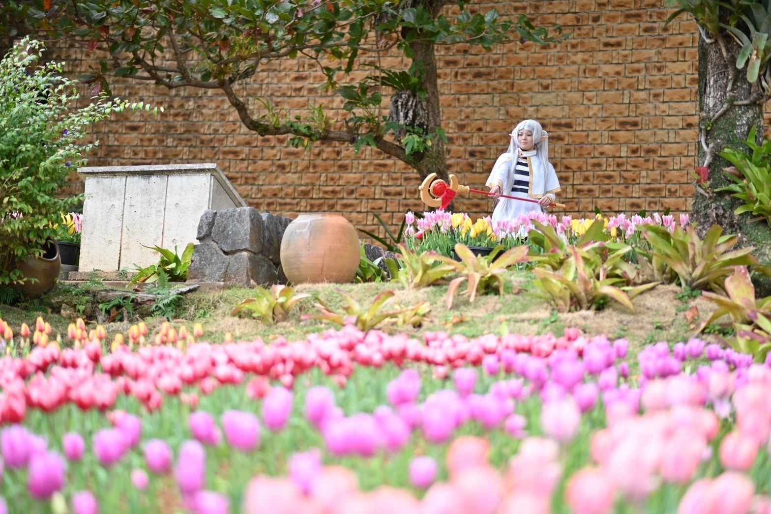 WS ヴァイスシュヴァルツ 花畑を出す魔法 & 飛行魔法 SR