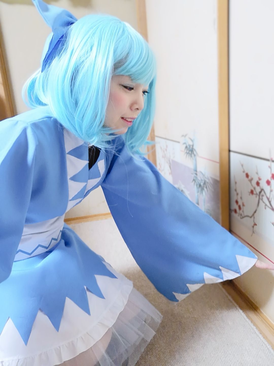 宅コスチルノ